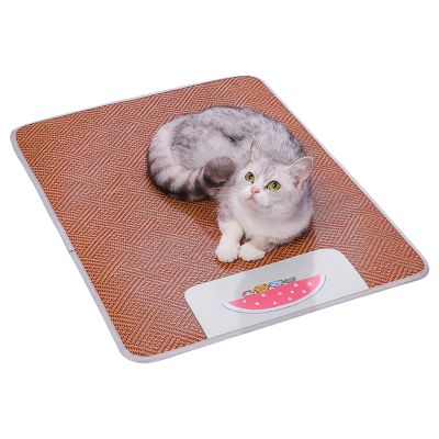 Zyntora Cooling Mat for Dogs