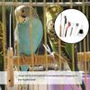 Bird Cage Cleaning Brush view 2