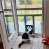 NJIEzhao Lockable Pet Door with Magnetic Screen for Dogs and Cats view 3