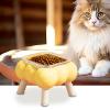 Elevated Cat Food and Water Bowl view 2