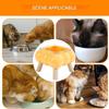 Elevated Cat Food and Water Bowl view 4
