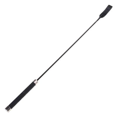 Interactive Pet Whip, Training Whip for Bonding with Your Dog