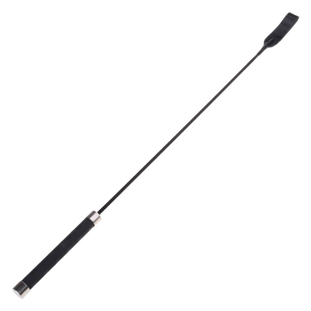 Interactive Pet Whip, Training Whip for Bonding with Your Dog