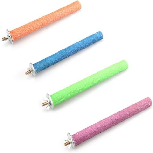 Parrot Perch in Random Color