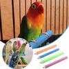 Parrot Perch in Random Color view 4