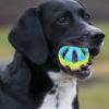 Dog Toy with Interactive Features view 2