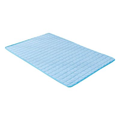 Pet Cooling Mat