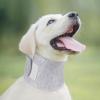 Soft Recovery Collar for Dogs view 3