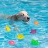 Fish-Shaped Cat Pool Toy for Splash Play view 4