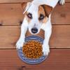 Dog Lick Mat for Slow Feeding view 3