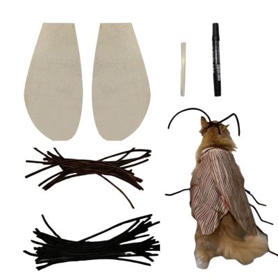 Pet Cat Costume