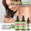 Rosemary Mint Strengthening Shampoo, Conditioner & Hair Oil Set view 2