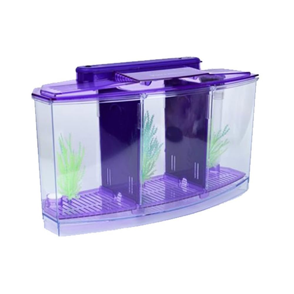 Huudngeje Mini Breeding Fish Tank