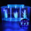 Huudngeje Mini Breeding Fish Tank view 4