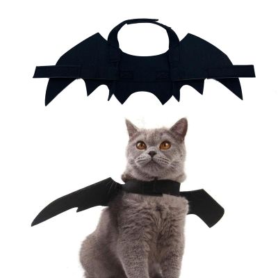 Bat Wings for Cats