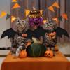 Bat Wings for Cats view 4