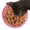 Slow Feeder Bowl for Cats and Small Dogs view 1