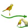 Bird Perch Stand, Play & Chew Stand for Parrots view 1