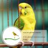 Bird Stand and Perch with Integrated Claw File view 3