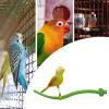 Bird Stand and Perch with Integrated Claw File view 4