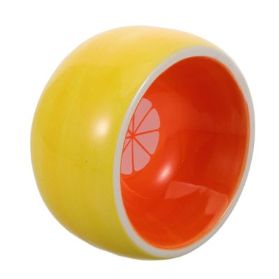 Milisten Ceramic Food and Water Bowl in Orange Design
