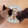 Slow Feeder Cat Bowl | Dry Food Feeding Bowl for Calm Eating view 2