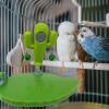 Climbing and Play Stand | Cactus Leaf Perch view 3