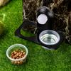 PartyKindom 2-Piece Reptile Feeding Bowls with Suction Cups, Stable Plastic Double Bowls, Removable Design and Easy Installation for Lizards and Geckos view 3