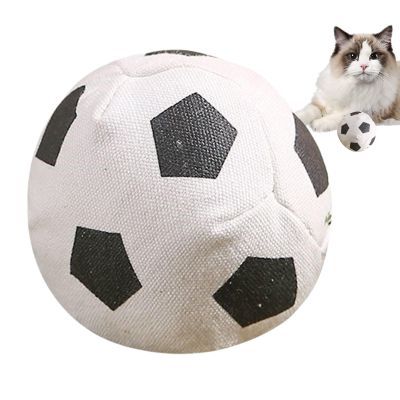 Portable Catnip Balls - Interactive Cat Toys