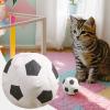 Portable Catnip Balls - Interactive Cat Toys view 3