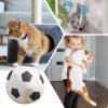 Portable Catnip Balls - Interactive Cat Toys view 4