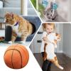 Catnip Balls - Interactive Cat Toy view 4