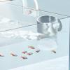 Betta Fish Feeder with Suction Cup view 3