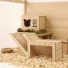 Hamster Climbing Ladder, Hideout & Bridge view 4