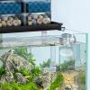 lyanny Aquarium Feeder - Betta Food Dispenser view 2