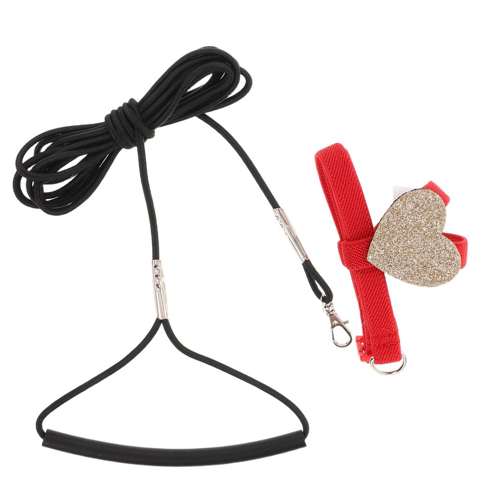 TOYANDONA Bird Harness with Leash