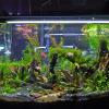 minkissy 10-Piece Miniature Carp Model Artificial Fish for Aquarium Decoration view 4