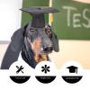 Toddmomy Graduation Dog Hat with Yellow Tassels view 2