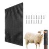 Horse Grooming Scratch Mat, Itch-Relief Mat, Soft Massage Panel view 1
