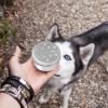 GANAZONO 10-Piece Aluminum Scent Tins for Dogs, 2.7 in, with Magnetic Stickers view 2