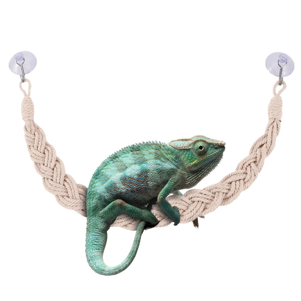 Hermit Crab Climbing Toy - Reptile Enrichment Accessory