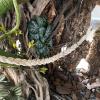 Hermit Crab Climbing Toy - Reptile Enrichment Accessory view 3