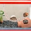 Hermit Crab Climbing Toy - Reptile Enrichment Accessory view 4