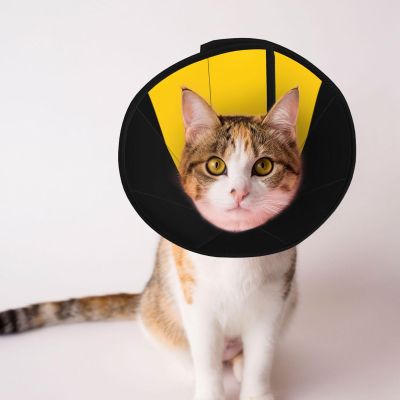 Saxony-Anhalt Flag Soft Recovery Cone Collar for Dogs and Cats
