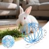 Hay Feeder for Small Pets view 3