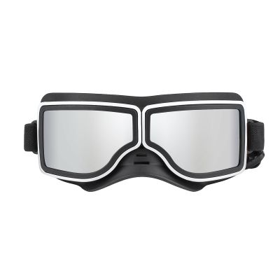 Dog Sunglasses for Small Dogs