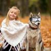 Dog Sunglasses for Small Dogs view 2