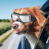 Dog Sunglasses for Small Dogs view 3