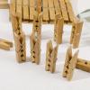 Bird Grinding Stick - Parrot Claw Sharpening Tool view 3