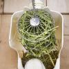 Hanging Hay Rack and Grass Feeder view 3